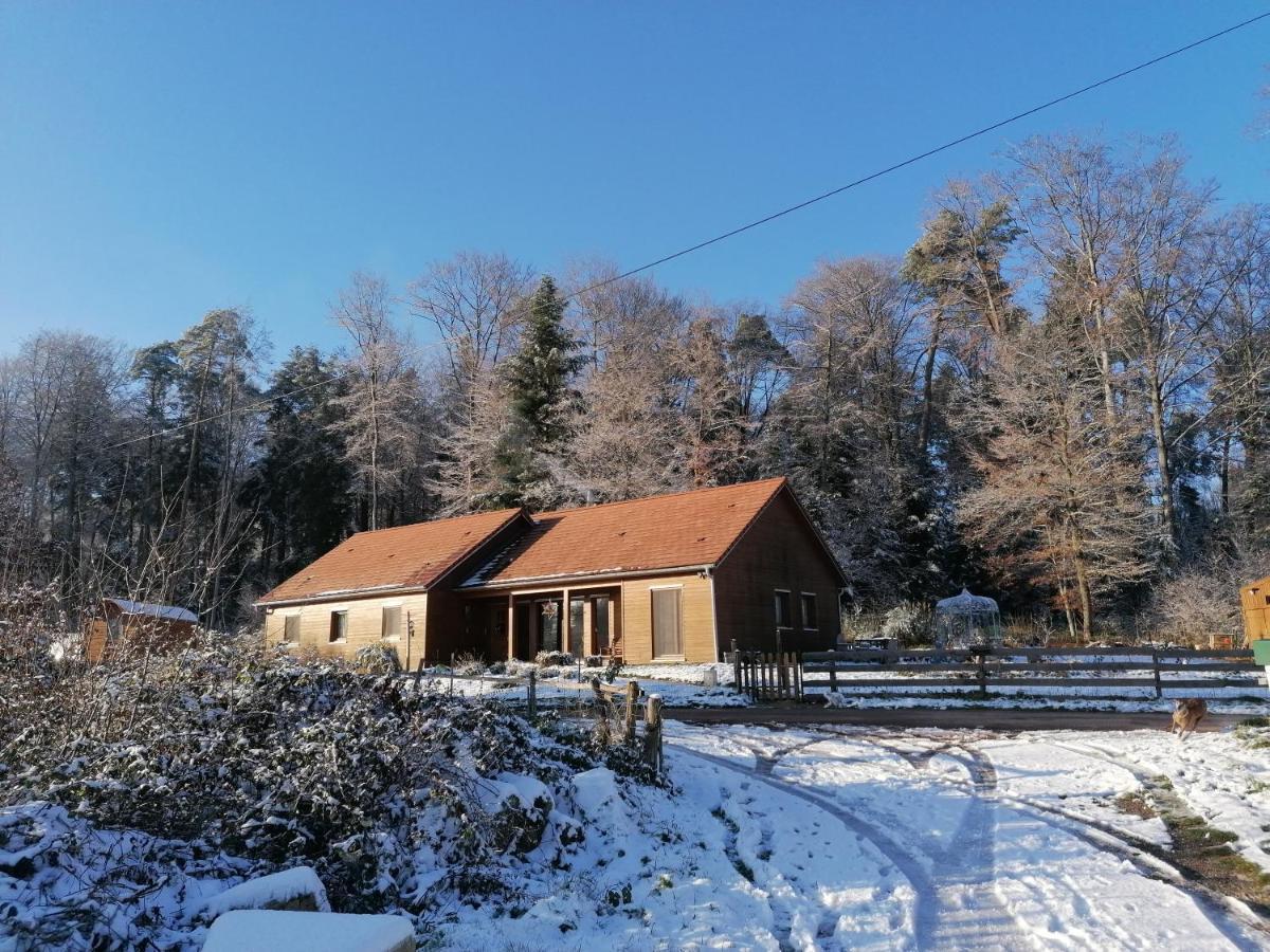 Vosges Chambres D'Hotes Jeanmenil Eksteriør billede